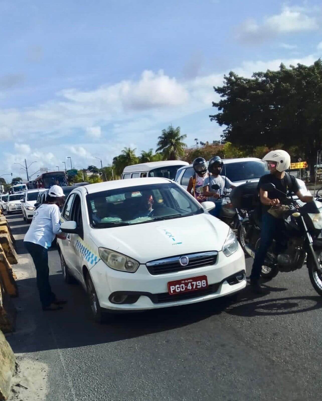 Campanha Educativa 1